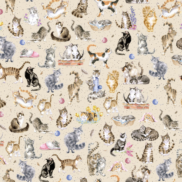 Whiskers & Paws - 10414E