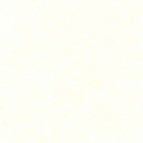 Wool Felt - 1109