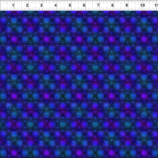 Vivid - 7VIV2