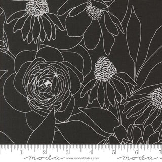 Botany - M10802912