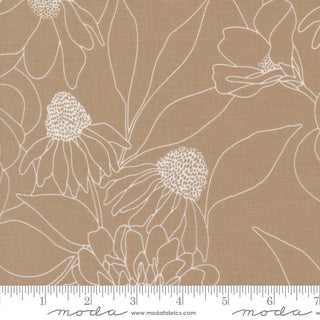 Botany - M10802913