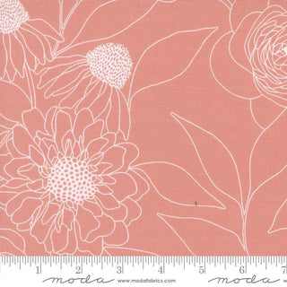Botany  - M10802915