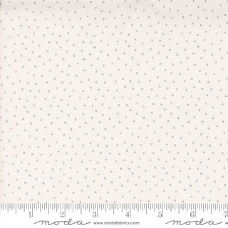 Itty Bitty Background - M4928113