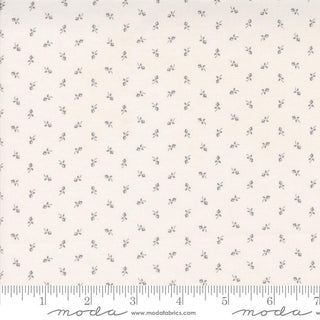Itty Bitty Background - M4928213