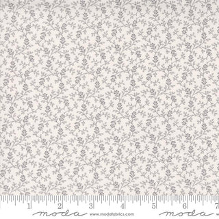 Itty Bitty Background - M4928813