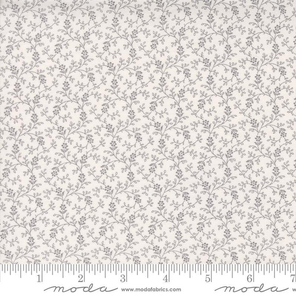 Itty Bitty Background - M4928813
