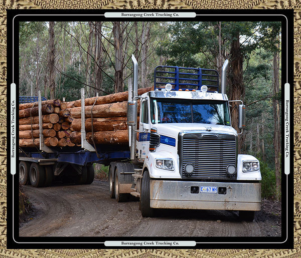 Road Trains