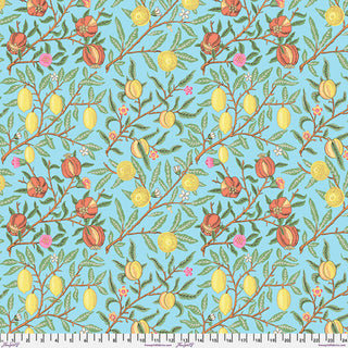 Kaffe Fassett + Morris & Co - 010Duckegg