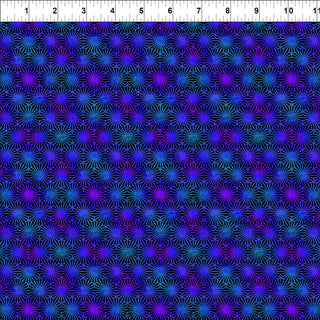 Vivid - 7VIV2