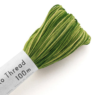 Sashiko Thread Variegated - Grassland