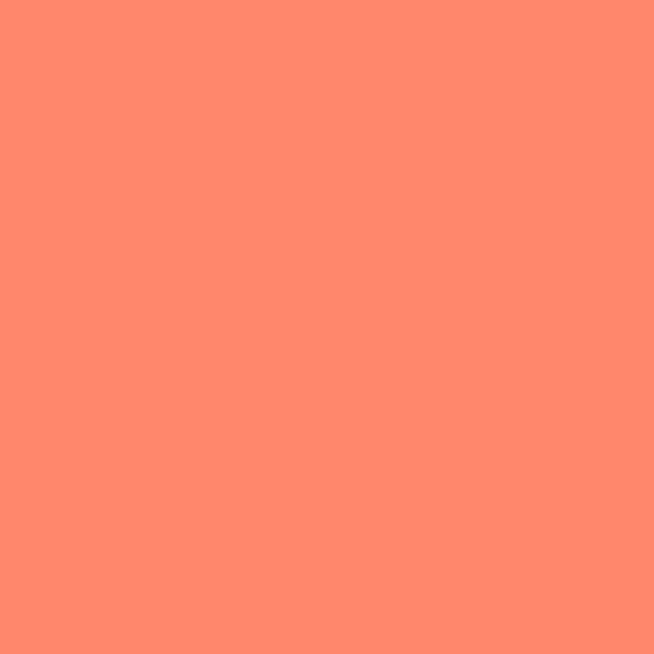 Tula Pink Solids - CSFSESS-Persimmon
