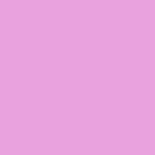 Tula Pink Solids - CSFSESSSweetpea