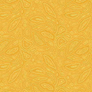 True Colours - PWTP148Amber